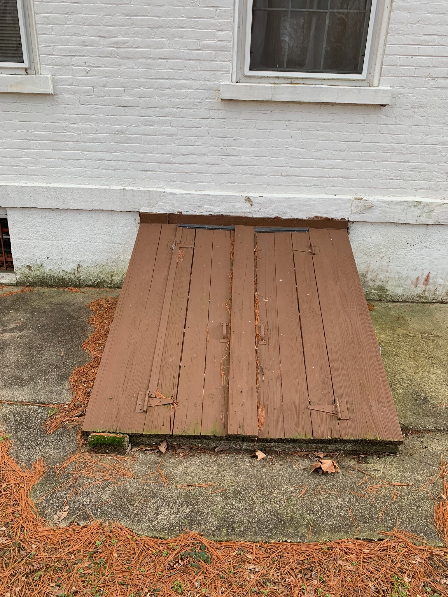 Basement Door North Side