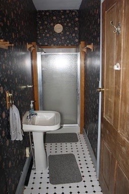 Downstairs Bath: Shower & Sink