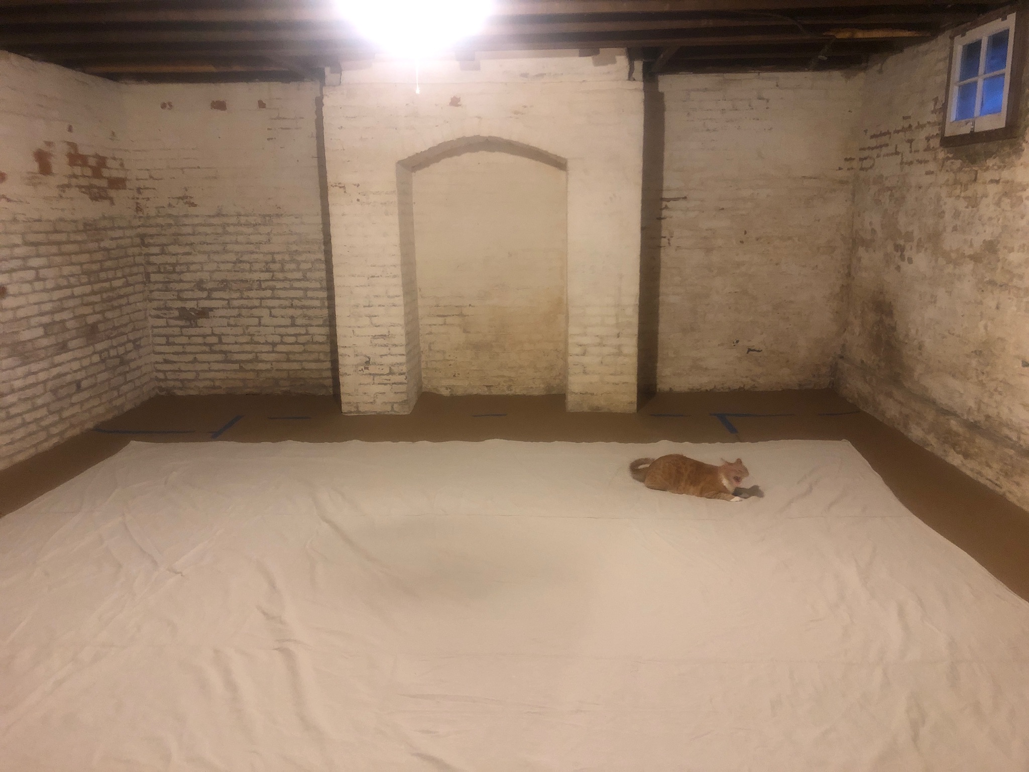 Basement Room with Chimney Breast